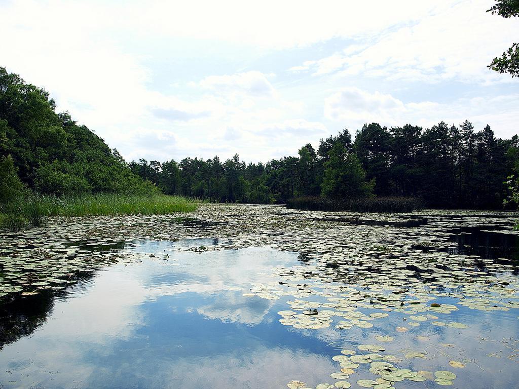 科帕利诺Domek Letniskowy Grazyna别墅 外观 照片